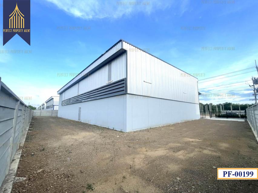 New Factory for sale สีม่วงเข้ม หลายขนาด ลำลูกกา ปทุมธานี 18