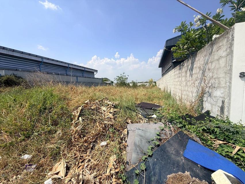 ขายด่วนที่ดิน 180 ตรว ติดถนนสาธารณะ ถมแล้ว  ซอยเปาร์อิน 16 อ.ลาดหลุมแก้ว จ.ปทุมธานี 3