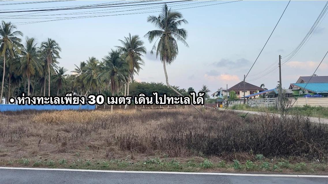 🔥🌊 ขายด่วน! ที่ดินทำเลทอง 1 ไร่ 3 งาน ติดถนนดำ-ใกล้ทะเลแค่เอื้อม! 🔥 5