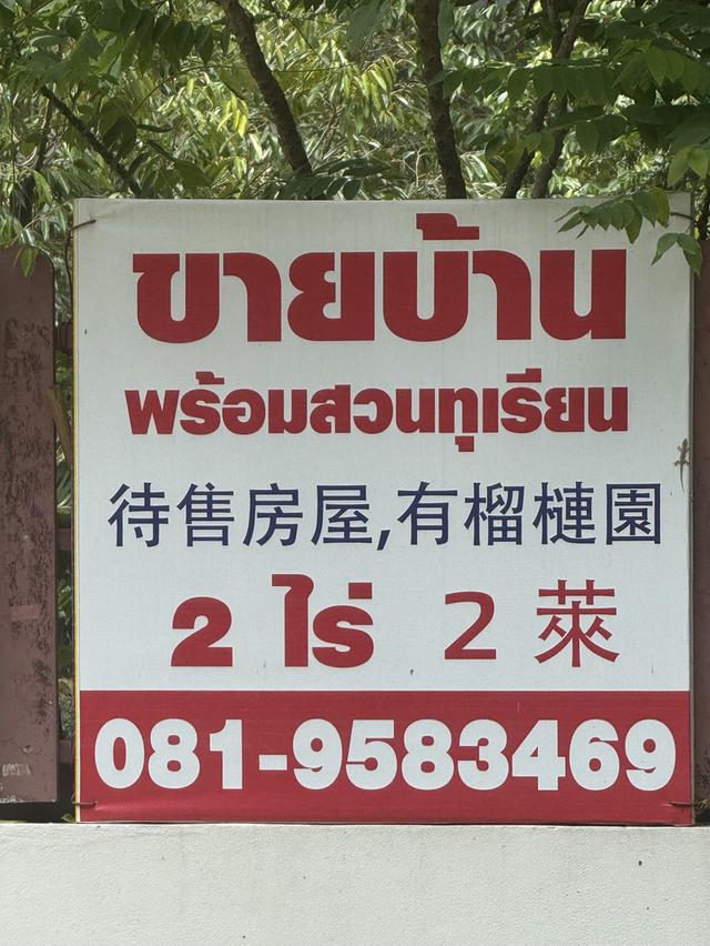 ขายบ้านพร้อม สวนทุเรียน2ไร่ 7