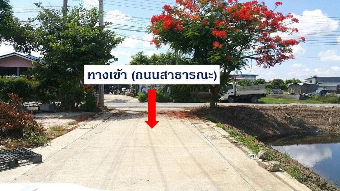 ขายที่ดิน 2 ไร่ 18 ตารางวา ต.หนองปรือ อ.บางพลี จ.สมุทรปราการ 3