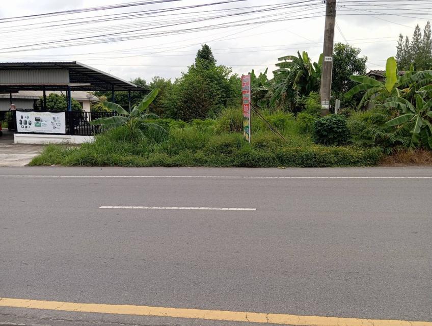 ขายที่ดินเปล่าติดถนน4เลน 7