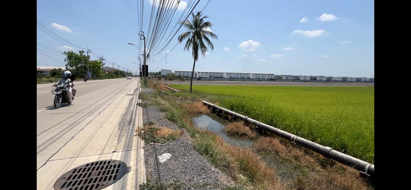 ให้เช่าที่ดิน 2 ไร่ 2 งาน ถนนบ้านกล้วย-ไทรน้อย 4