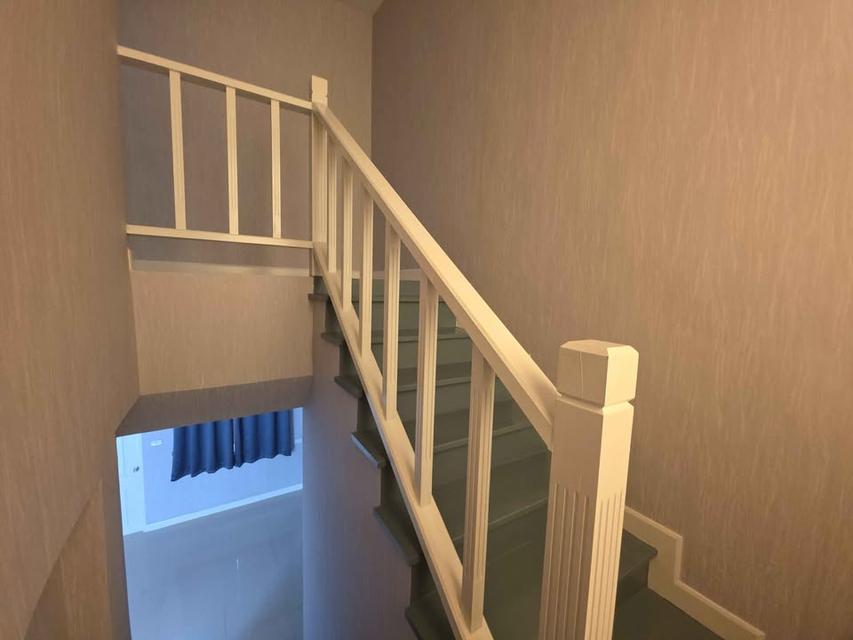 เดอะทาวน์ เพิ่มสิน สายไหม เช่า เลี้ยงสัตว์ได้ 5