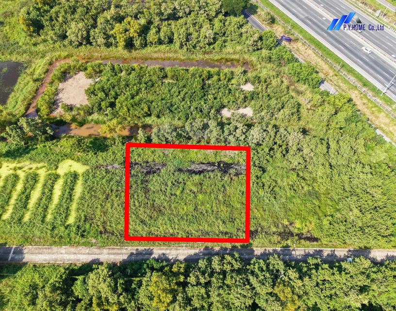 ขายถูก! ที่ดิน 1 ไร่ ใกล้เลียบมอเตอร์เวย์ คลองสี่ คลองหลวง ปทุมธานี 7