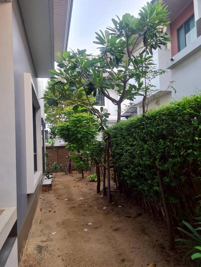 บ้านบุราสิริ 345 (ราชพฤกษ์) 5