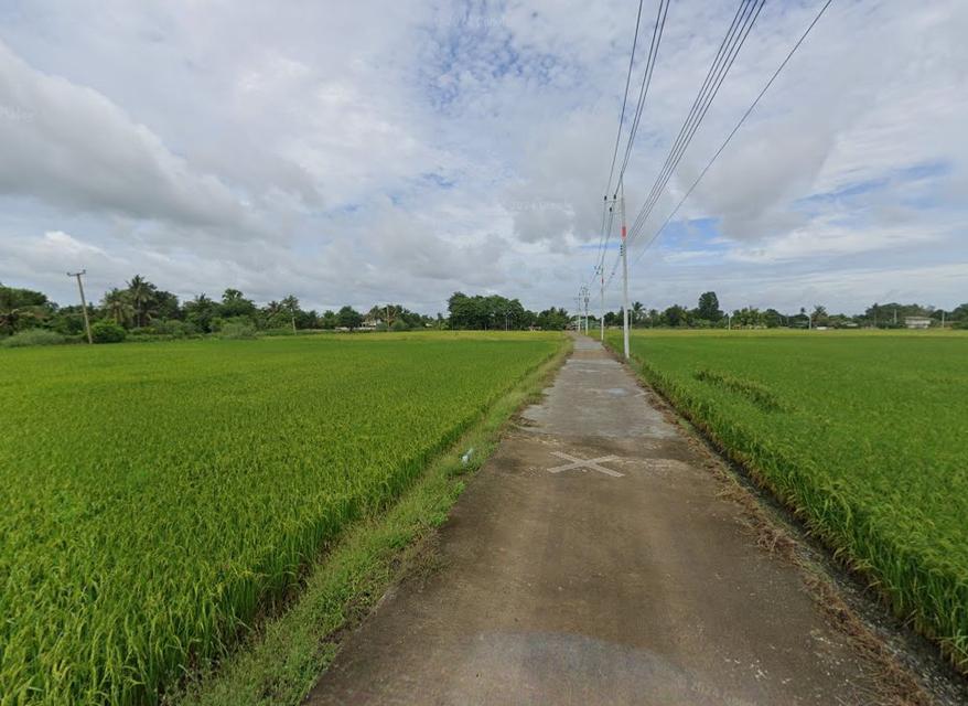 ขายที่ดินบางเตย 10 ไร่ ติดคลองติดถนนคอนกรีตใกล้ถนนวงแหวนตัดใหม่365-5กม. เมืองฉะเชิงเทรา