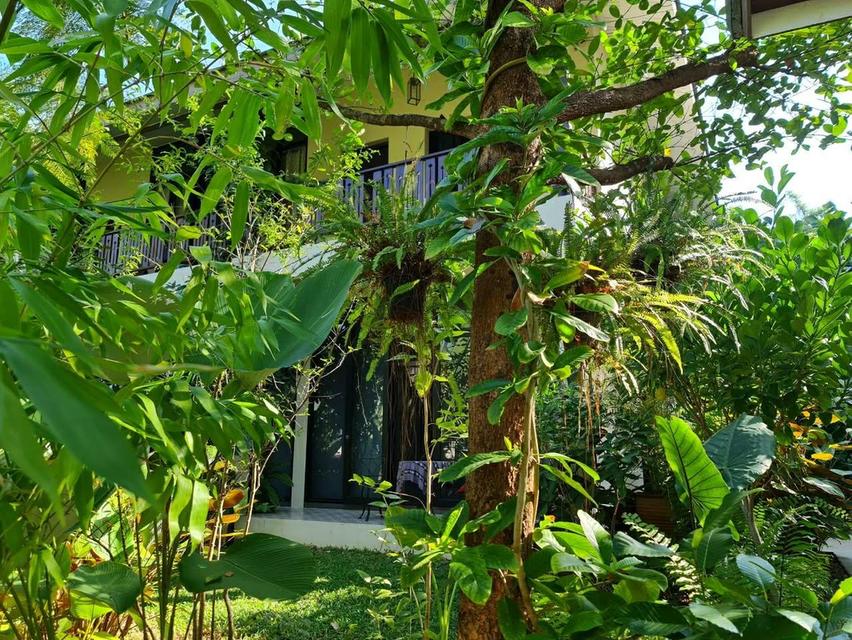 Beautiflul 2 storey house for sale in one of Chiang Mai’s best and most desirable locations. 1