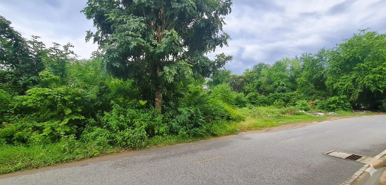 ขายที่ดินเปล่าแปลงสวย ทำเลดี ใกล้โรบินสัน กาญจนบุรี 5