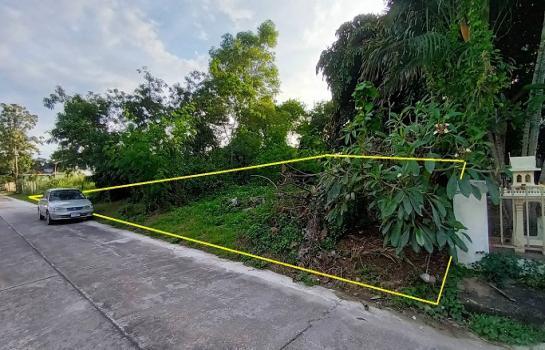 ด่วน! ขายที่สันกำแพง ขายที่ดินเปล่า 283 ตรว. @9,000/ตรว. ใจกลางสันกำแพงปาร์ควิว 2