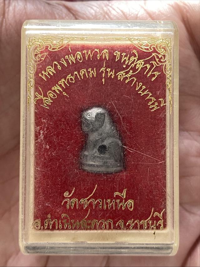 เสือตะกั่ว หลวงพ่อหวล วัดชาวเหนือ นอนกล่อง