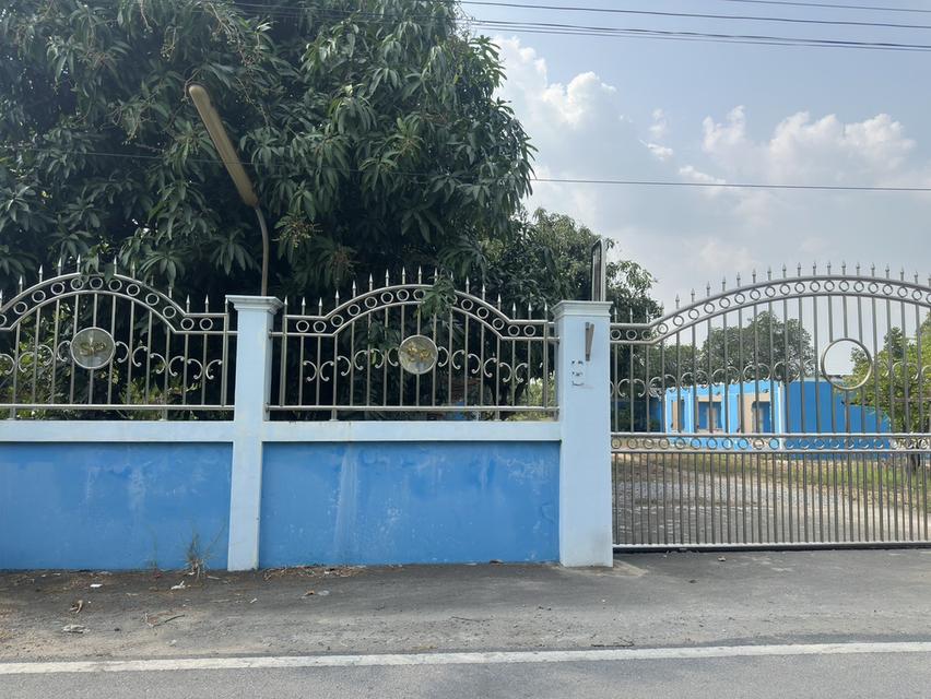 ขายที่ดิน 9 ไร่ 3 งาน 11 ตรว. แปลงสวย พร้อมสิ่งปลูกสร้าง 3