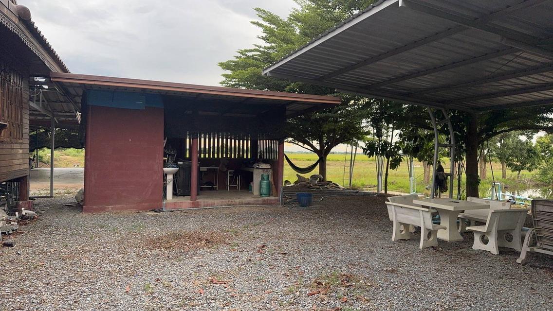 ขายที่ดิน เนื้อที่ 14 -3 -40 ไร่ สุพรรณบุรี สามชุก 2