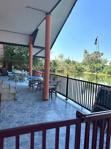 ให้เช่าบ้านชั้นเดียว เล่นระดับ 50ตรว. วิวบึงน้ำ บ่อปลา อยู่อ.บางเลน นครปฐม ใกล้วัดเกาะแรต 1