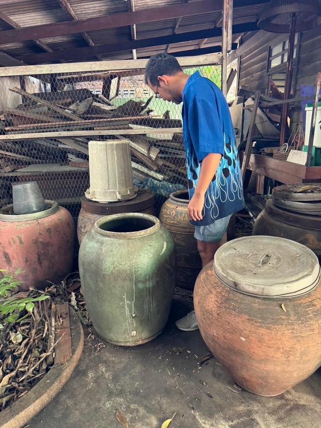 รับซื้อโอ่งเขียวไข่กา 