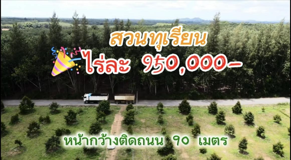 ขายสวนทุเรียน 8 ไร่ 3 งาน 9 ตร.ว. 3 ปี ไร่ละ 950,000 บาท ต.ชำฆ้อ อ.เขาชะเมา จ.ระยอง 13