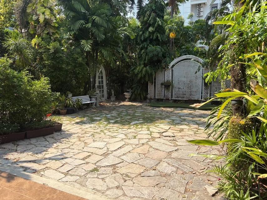 U1477 ให้เช่าบ้านสวน ใจกลางสุขุมวิท 101 FOR RENT RARE GARDEN SPACE IN SUKHUMVIT An Extraordinary Glasshouse Garden Space in Sukhumvit 101 5