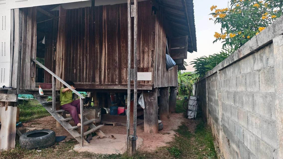 ที่ดินพร้อมสิ่งปลูกสร้าง 2