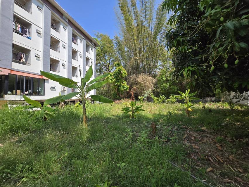 ขายที่ดิน ใกล้ประตูเขียว มหาวิทยาลัย ขอนแก่น 2