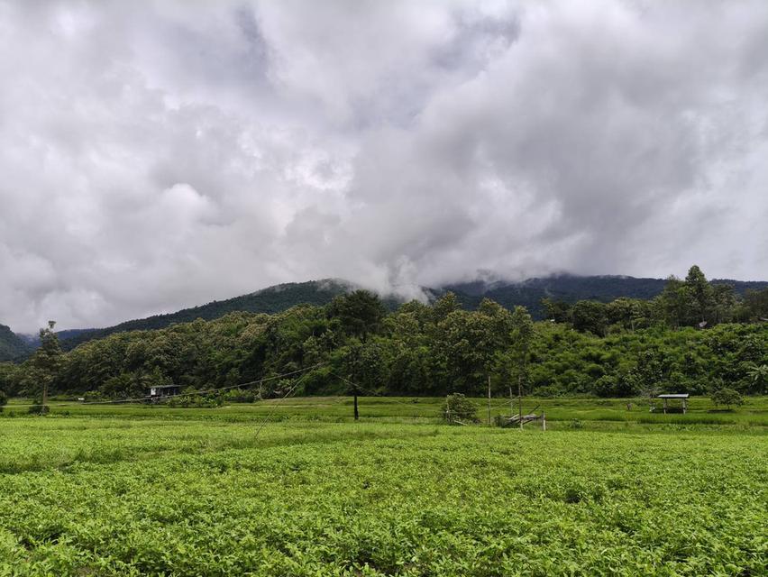 ที่ดิน ทำเลติดภูเขา จ.น่าน 11