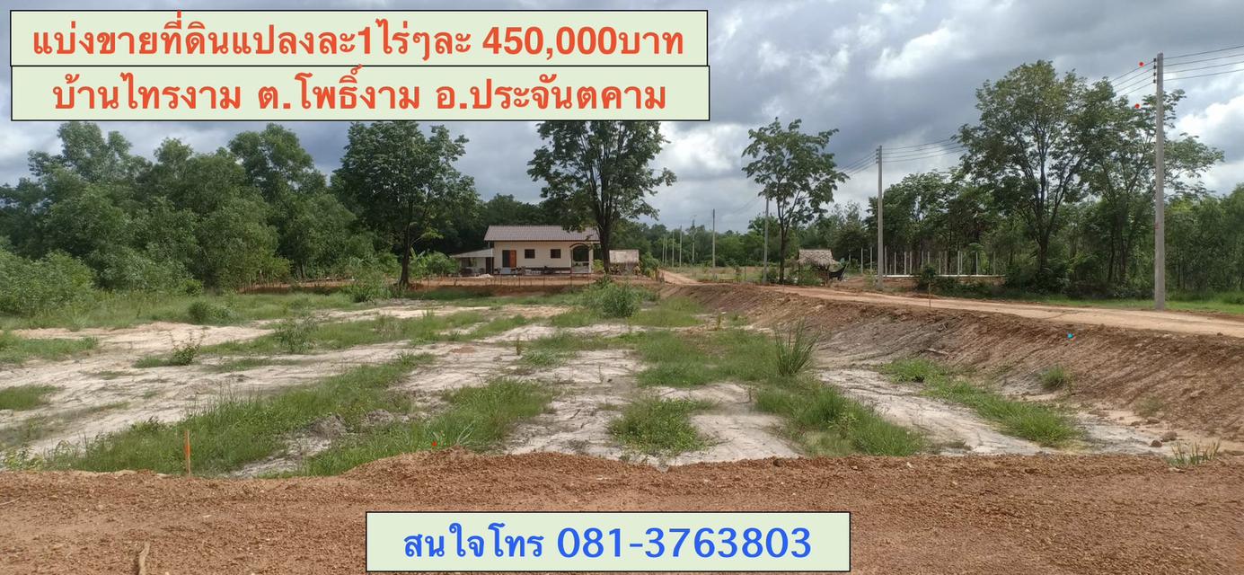 แบ่งขายที่ดิน 1ไร่ๆละ4.5แสนบาท  ( เหลือ 8แปลงสุดท้าย)  *อยู่ในแหล่งชุมชน บรรยากาศดี  *ต.โพธิ์งาม อ.ประจันตคาม จ.ปราจีนบุรี 2