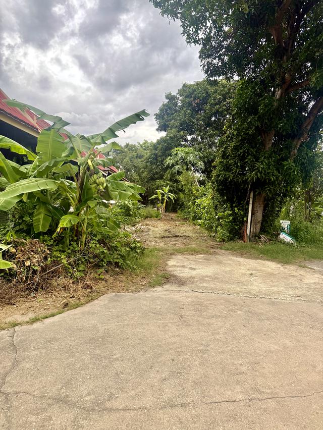 ที่ดินจังหวัดนนทบุรี 5