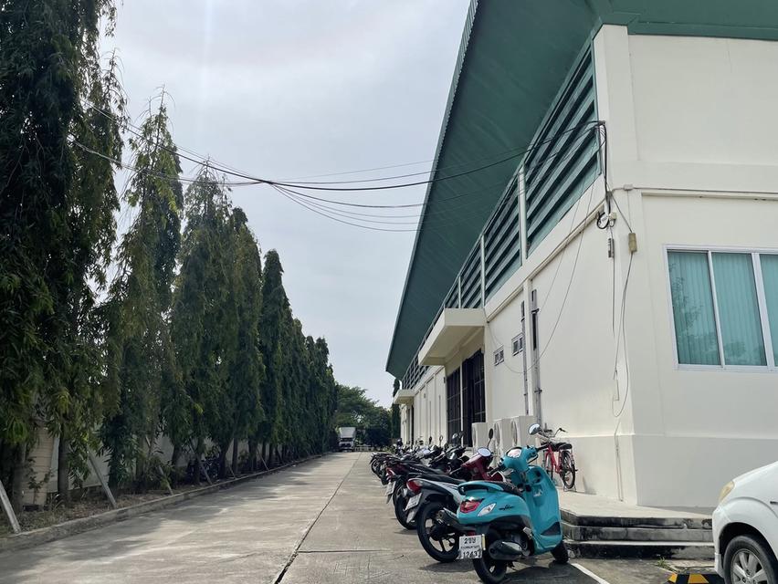 ขายโรงงาน พร้อมสำนักงาน พิกัด ต.บ่อเงิน อ.ลาดหลุมแก้ว จ.ปทุมธานี 3