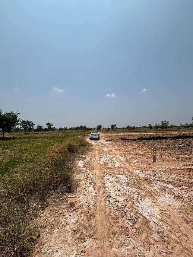 ขายที่ดิน 13 ไร่ 1 งาน 76 ตารางวา ไร่ละ 1,800,000 บาท 5