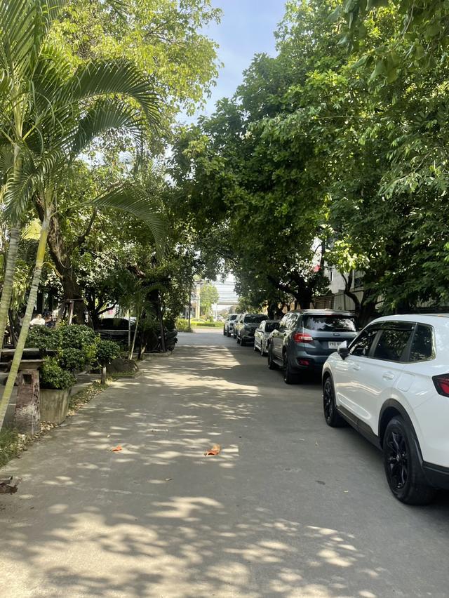 ขายที่ดินเปล่าติดถนน 2 ไร่ครึ่ง ใกล้ซาฟารีเวิลด์ 2