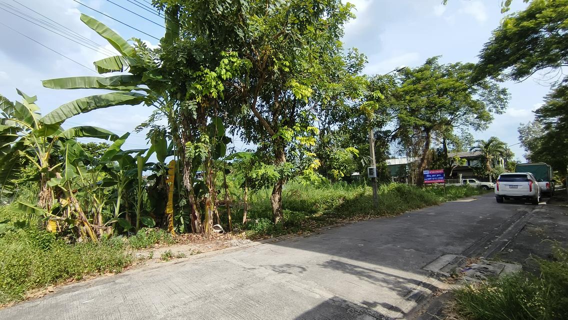 ขาย ที่ดินแปลงสวยสำหรับนักลงทุนและผู้ที่กำลังมองหาที่ดินเปล่า
