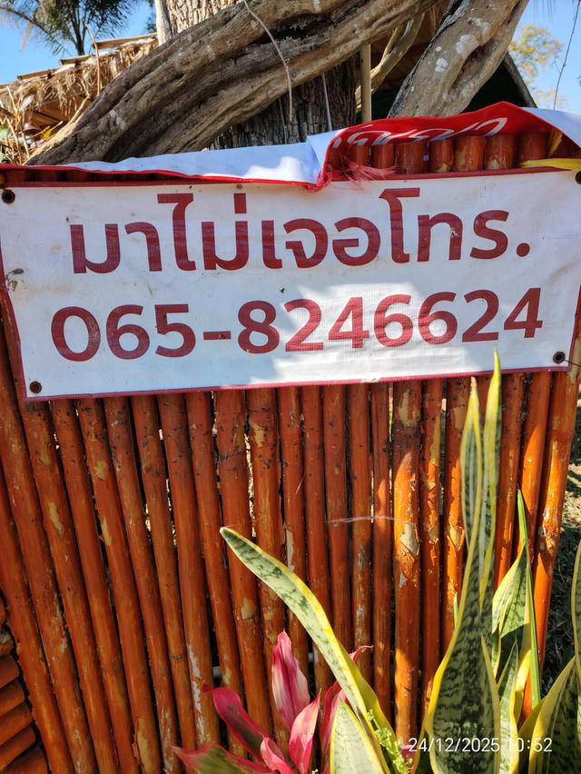 ขายมอเตอร์ไซค์ ยามาฮ่า ฟิน มือสอง สภาพเดิม 2