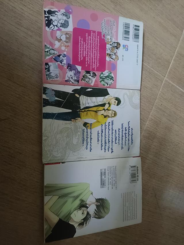 นิยายการ์ตูนวายมือสอง รูปที่ 2