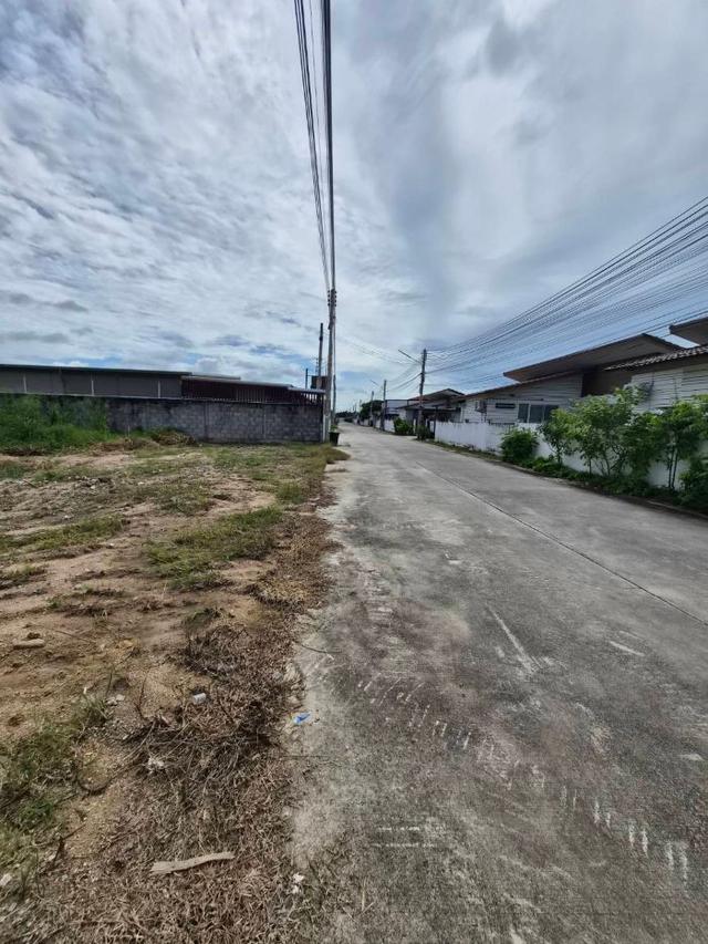 ที่ดินแปลงสวย บ้านฉาง ระยอง ทำเลทอง ใกล้ทะเล พื้นที่ 200 ตร.ว. 4