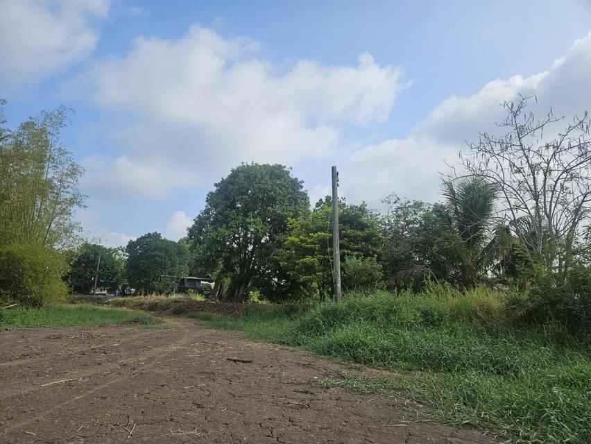 ที่ดินติดริมแม่น้ำ ปราจีนบุรี 10