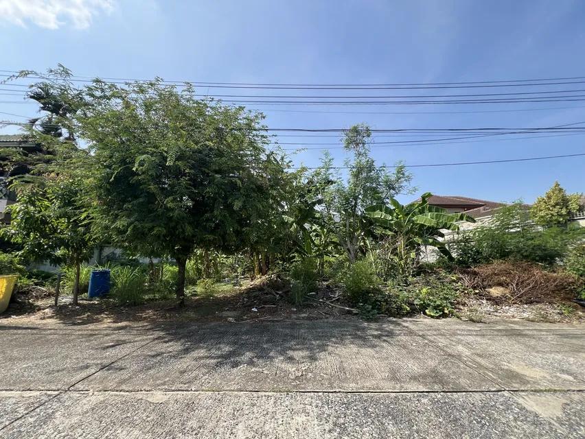 ขาย เช่า ที่ดินเปล่า หมู่บ้านเสรี ลาดพร้าว 101 4