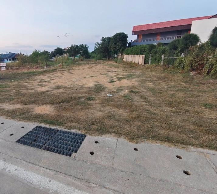 ขายที่ดินพัทยา ห้วยใหญ่ 121 ตรว.ถมแล้วเทศบาล1ซอย12 ใกล้หาดบ้านอำเภอ7กม. อ.บางละมุง ชลบุรี 3