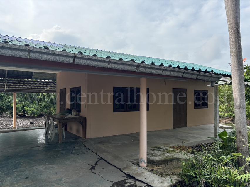 ที่ดิน พร้อมสิ่งปลูกสร้าง 9-3-60 ไร่ สามพราน นครปฐม 6