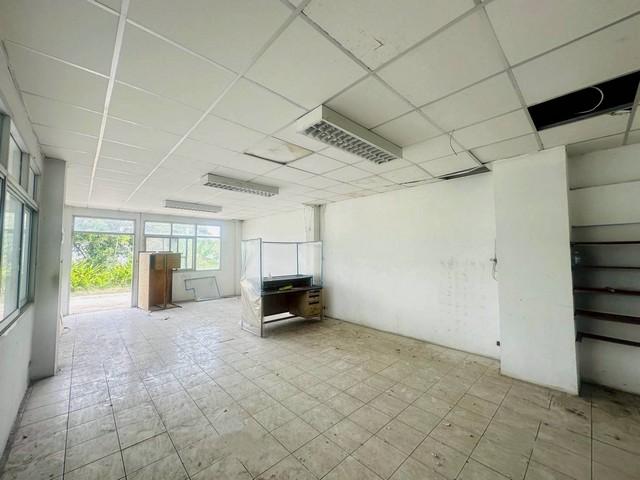 โรงงานพร้อมสำนักงาน 3 ชั้น พื้นที่ 2-3-82 ไร่ ซ.สุขาภิบาล 2 ถ.พุทธมณฑลสาย 4 ต.อ้อมน้อย อ.กระทุ่มแบน จ.สมุทรสาคร 2