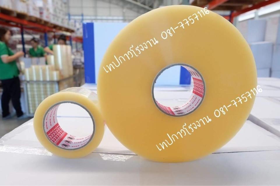 สก็อตเทป เทปใส เทปขุ่น เทปกาวราคาถูก 081-7757116