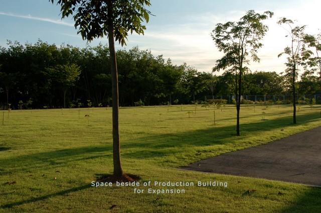 ขายโรงงานพร้อมดำเนินการ + ที่ดินขยายกิจการ จังหวัดระยอง มีใบอนุญาตประกอบกิจการโรงงานลำดับที่ 48(5) พร้อมสำหรับการขยายกิจการโรงงา รหัสทรัพย์ WANS6924 9