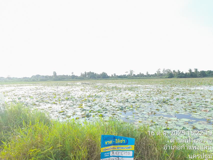 บ้านสวยหน้าอยู่ ทำเลดี 5