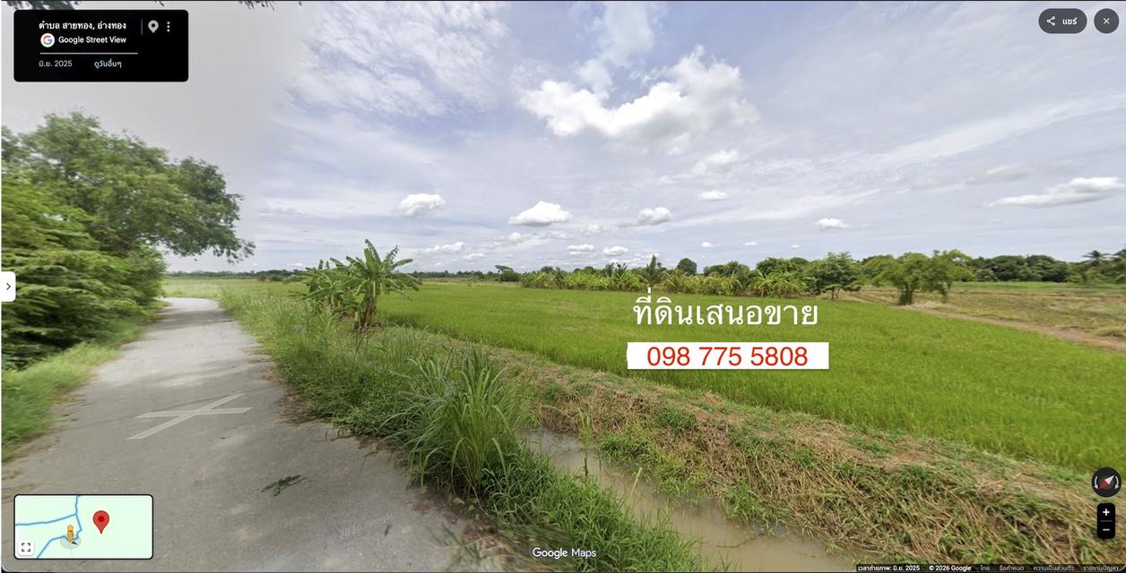 ขายที่นา 17 ไร่ เมืองอ่างทอง 098 7755 808 3