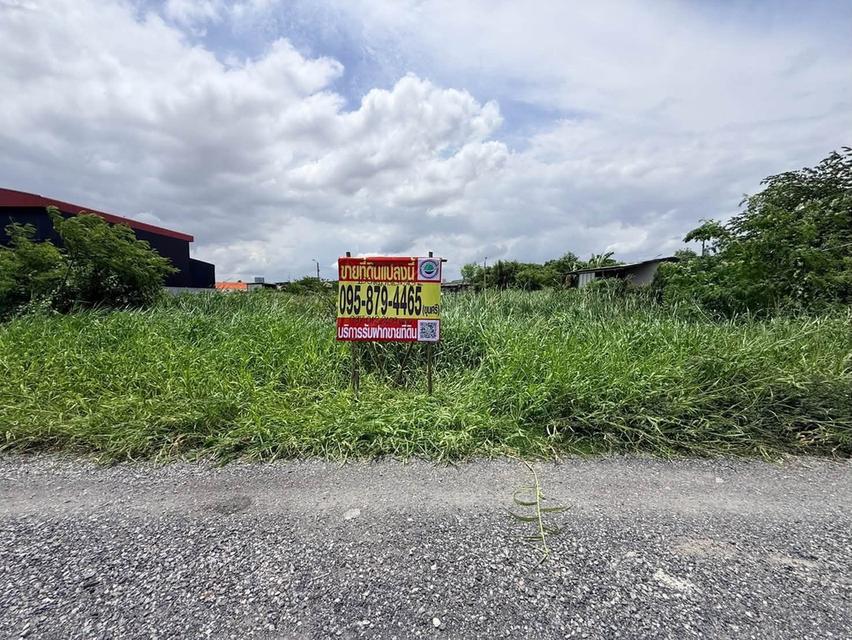 ขายด่วนที่ดินบางแก้ว 100 ตรว ติดถนนสาธารณะ ซ.หมู่บ้านเดอวิลล์ บางพลี สมุทรปราการ 1