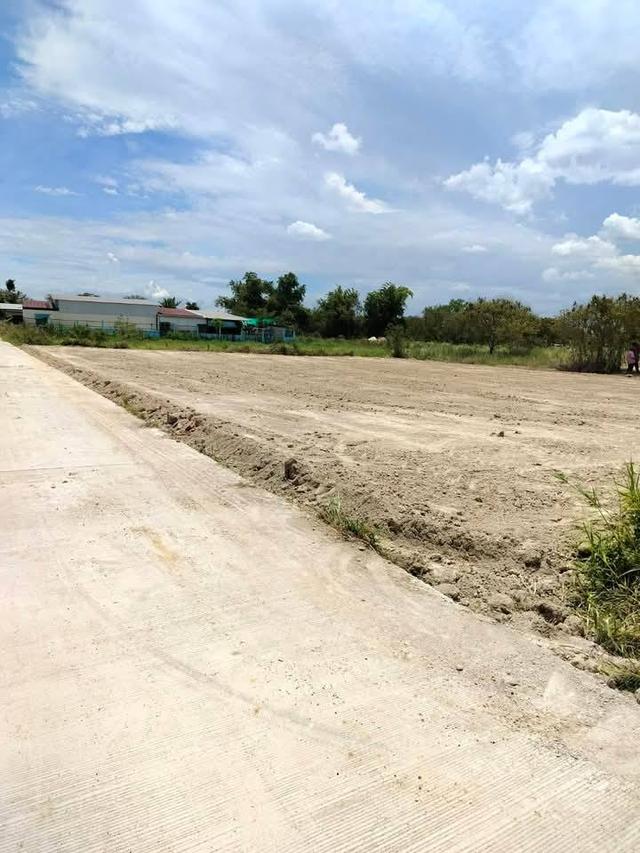 ขายที่ดินหนองหงษ์ 265 ตรว. ถมแล้วติดถนนคอนกรีต ใกล้ถนนเส้นชบ.3023-900เมตร อ.พานทอง ชลบุรี 2