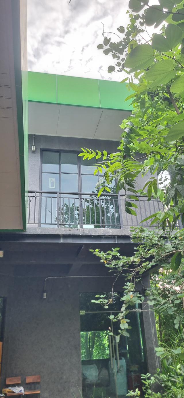 ต้องการขายบ้านที่ระยอง พิกัดบ้านเขาวังม่านสูงจากระดับน้ำทะเลปานกลาง 55 เมตร 7