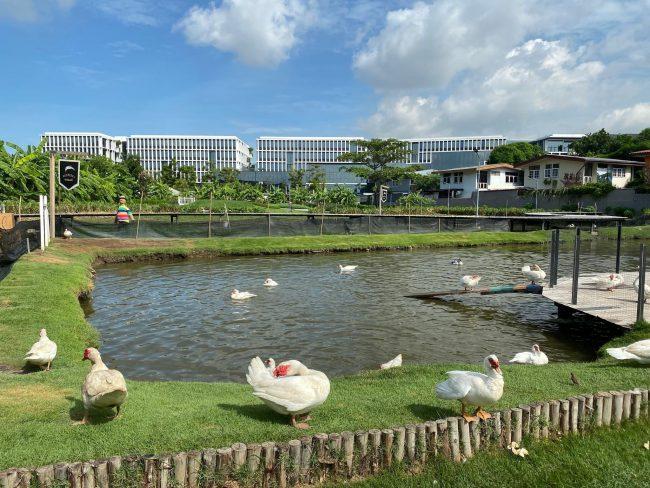 Condo for sale, studio room, high view, 447-storey building, next to BTS On Nut, Khlong Tan Subdistrict, Khlong Toei District, Bangkok, 1 bed Blocs77 4