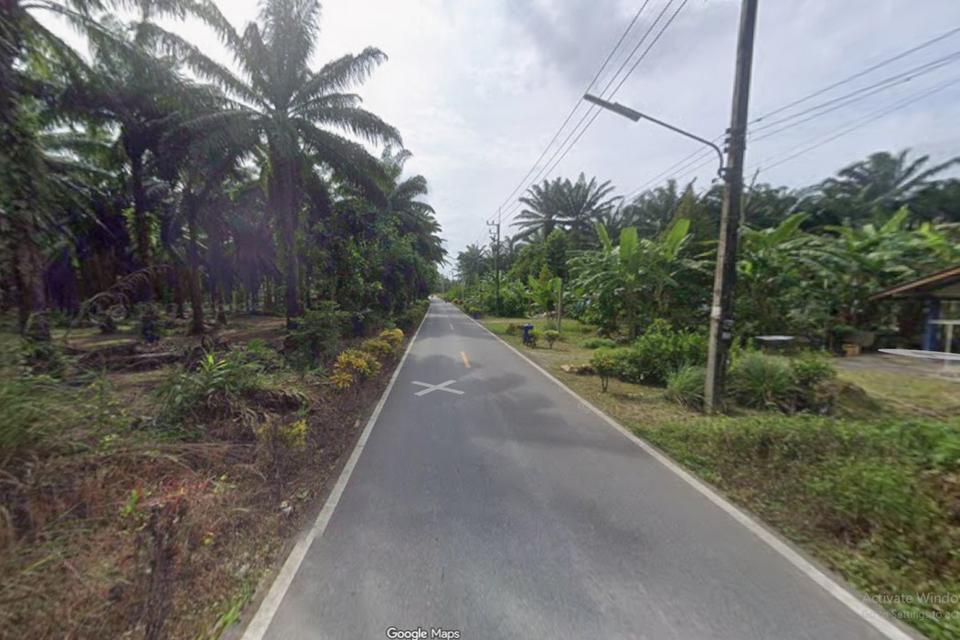ขายที่ดินกระบี่ 3 งาน 79 ตรว ที่ดินบ้านสวน ธรรมชาติ