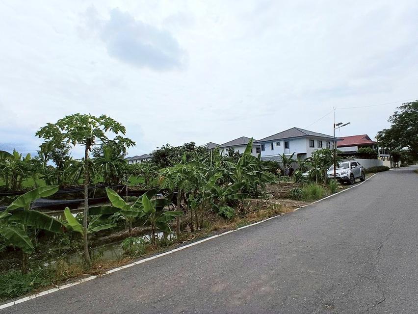 ขายที่ดิน 12 ไร่ (4,800 ตารางวา) ตำบลบ้านใหม่(บางคูรัด) อำเภอบางใหญ่ จังหวัดนนทบุรี 6