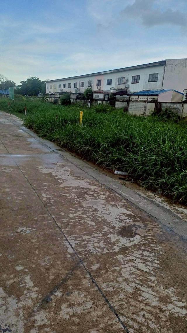 ขายถูกที่ดินลำลูกกา 34 ตรว ติดถนนคอนกรีตสาธารณะ ซ.เมตตา ต.บึงคำพร้อย จ.ปทุมธานี 2