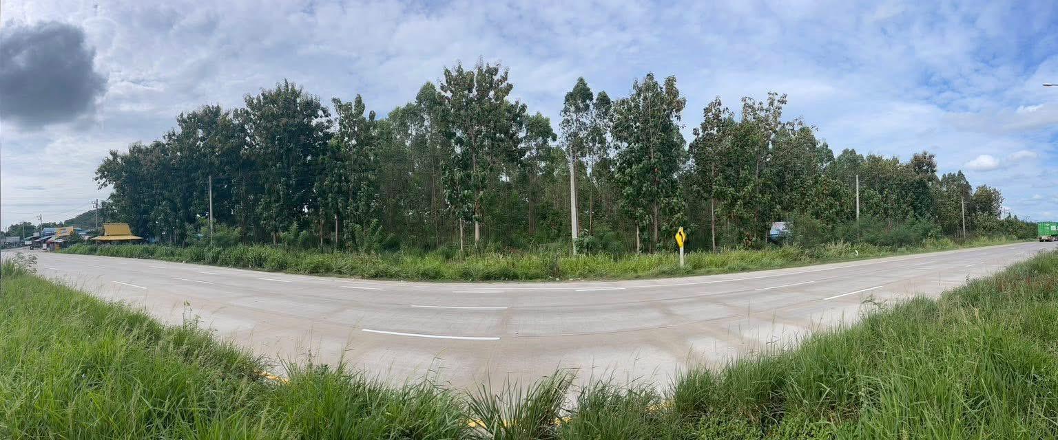 ที่ดิน บ่อวิน 5 ไร่ ติดถนน 331 7